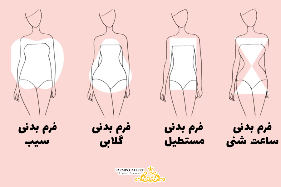 شناخت فرم و ویژگی‌های بدنی